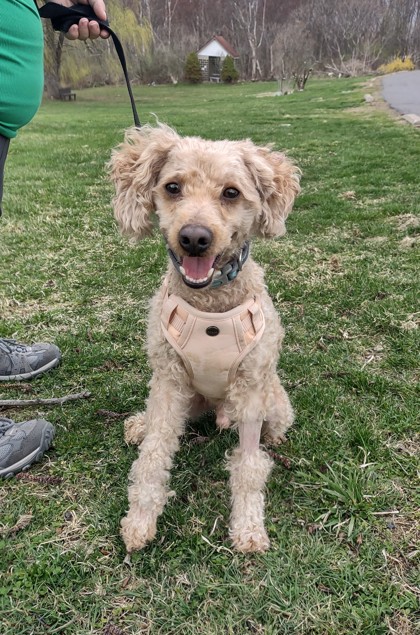 MILO photo