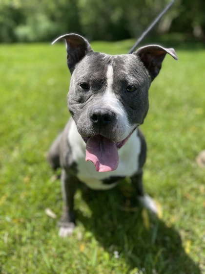 BUTCH photo
