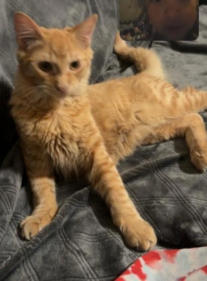 Theodore
