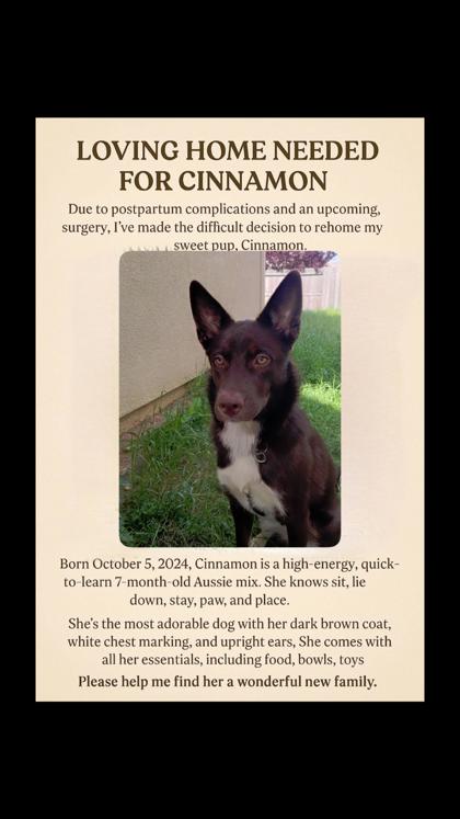 Cinnamon