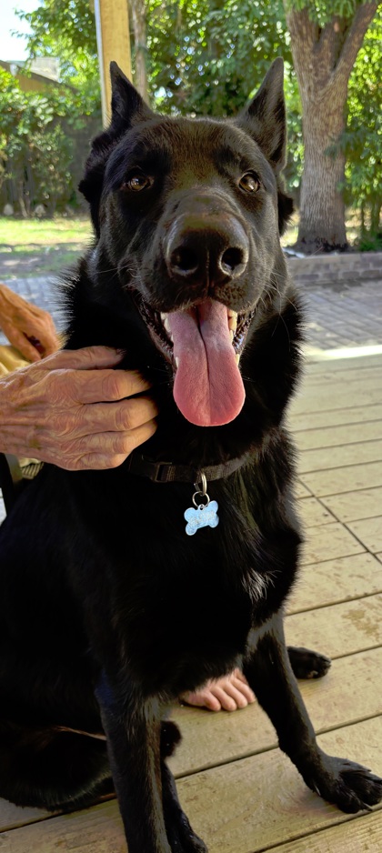 Baxter
