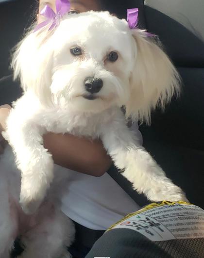 Chloe