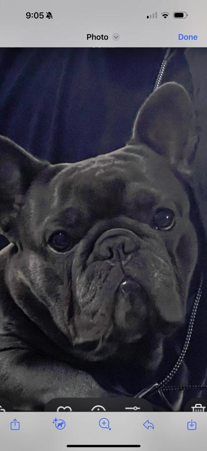 Onyx