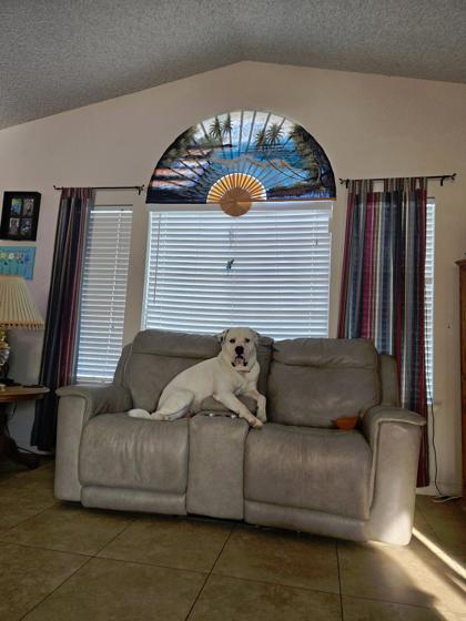 Samson