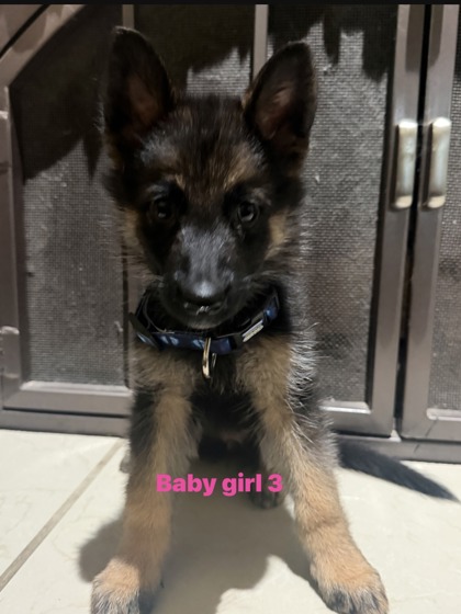 Baby Girl 3