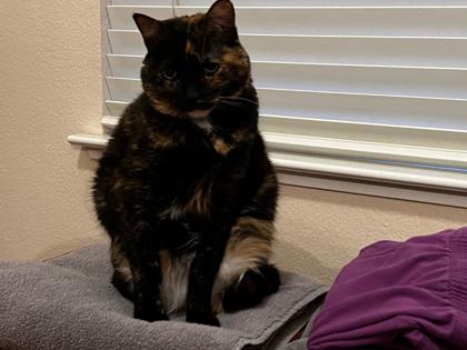 Lucy