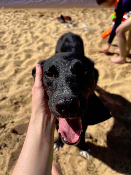 Astro