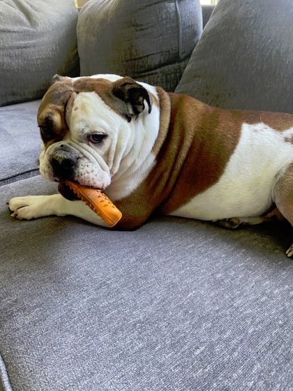 Pickles