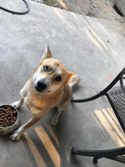 Peanut