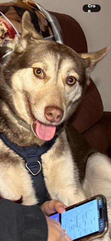 Sammy