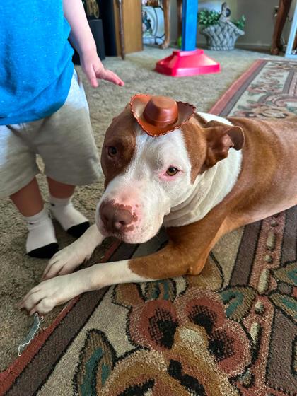 Zeus