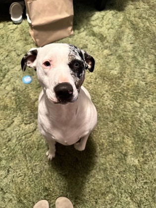 Winnie
