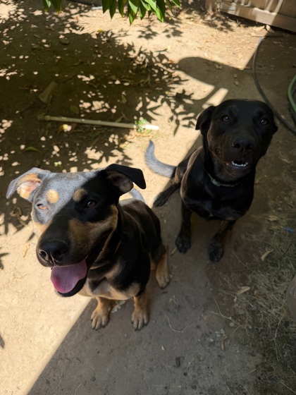 Leia & Luna