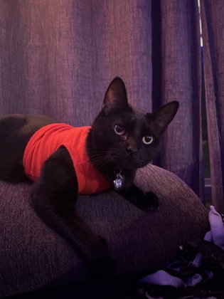 Salem