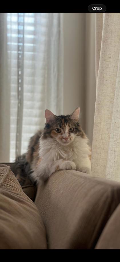 Lucy