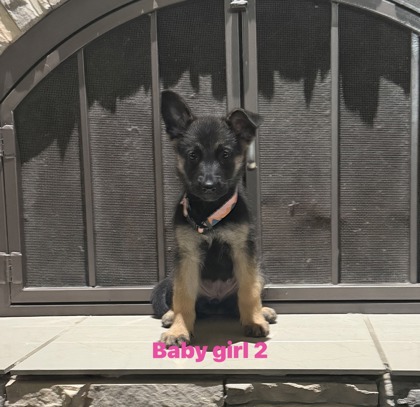 Baby Girl 2