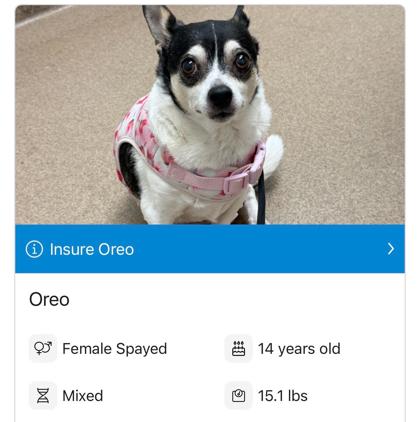 Oreo