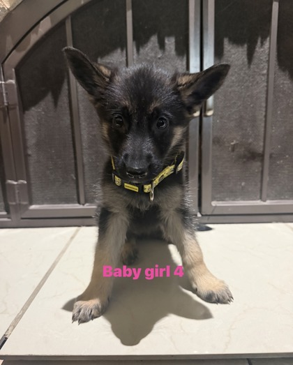 Baby Girl 4