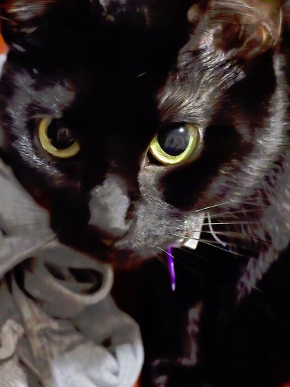Binks