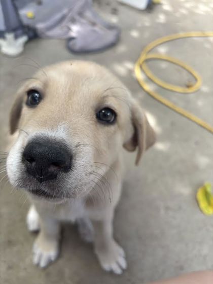 Riley