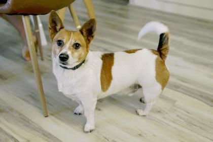 Max