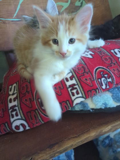 George