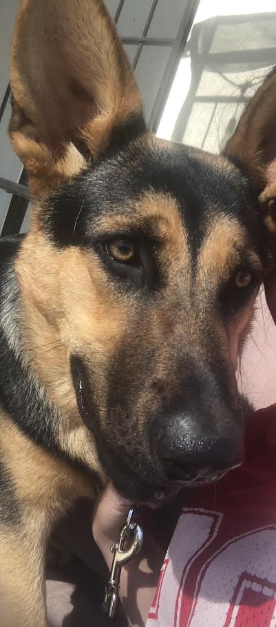 Kiera