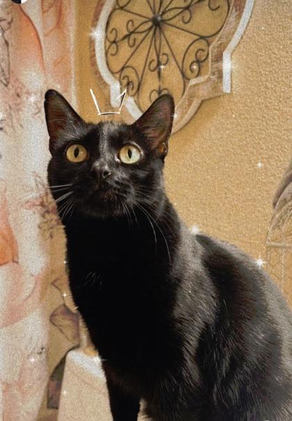 Salem