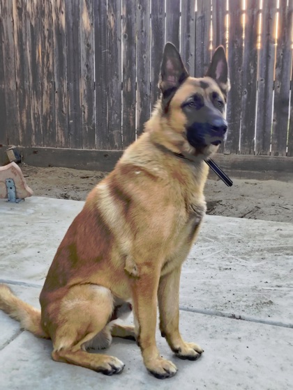 Max