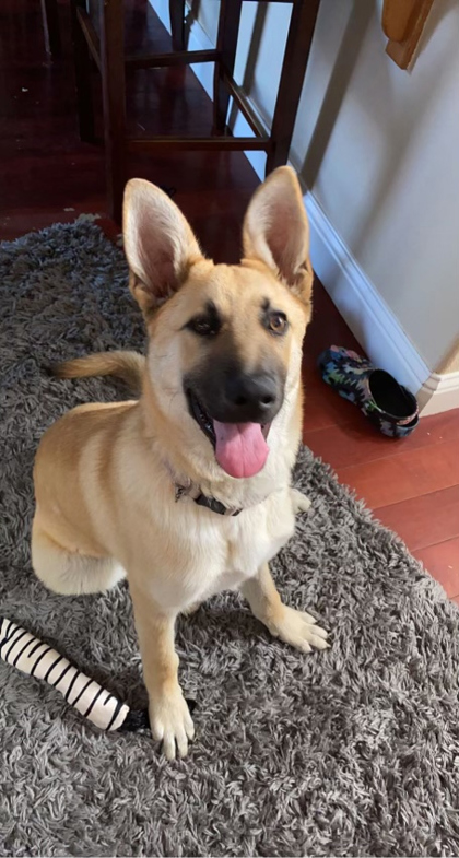 Maggie