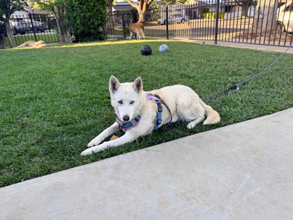Lucy