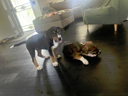 Boone & June