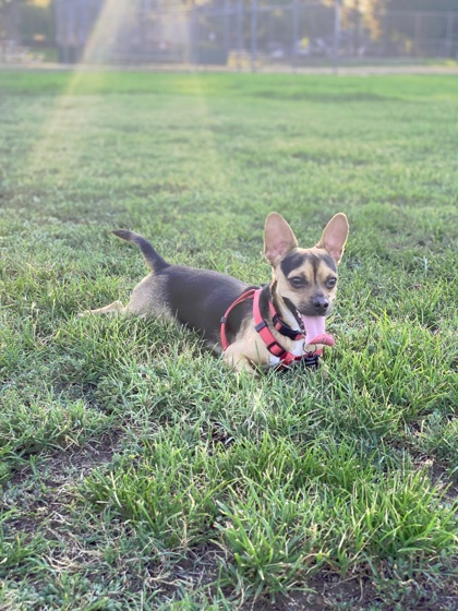 Jax