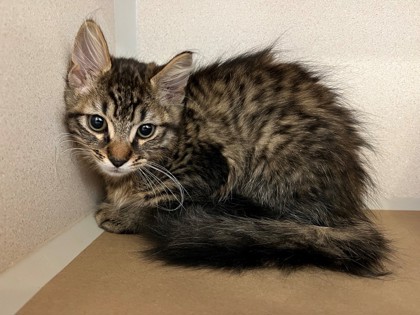 Photo of Bug