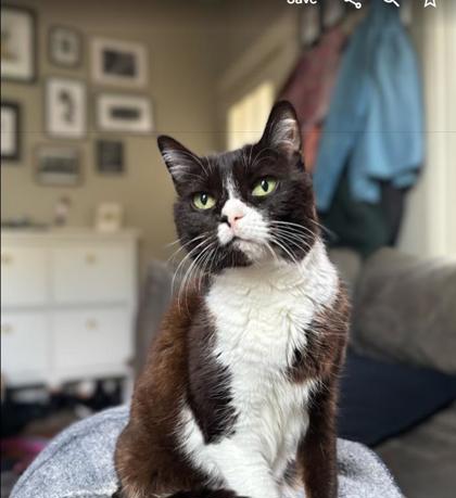 Photo of Wendy