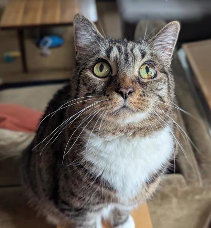 Photo of Willow