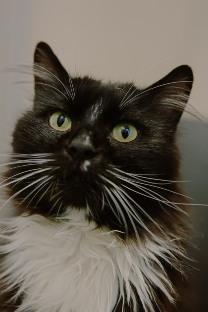 Photo of Jesus Manuel