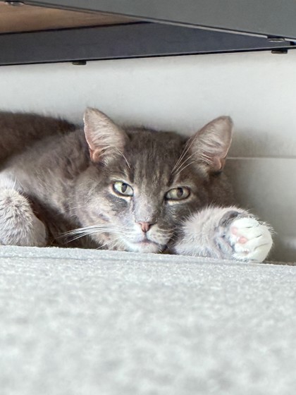 Photo of Yuki