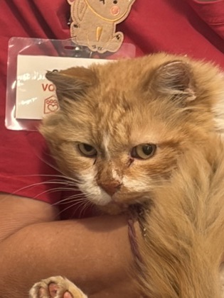 Photo of Reginald