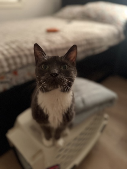 Photo of Sooki