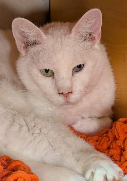 Photo of Dean