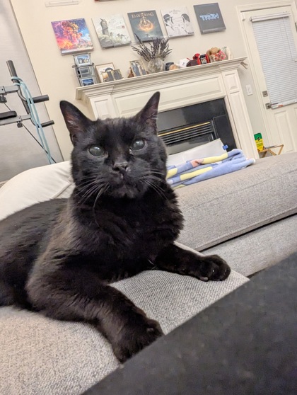 Photo of Hank