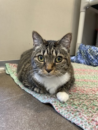 Photo of Willow
