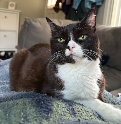 Photo of Wendy