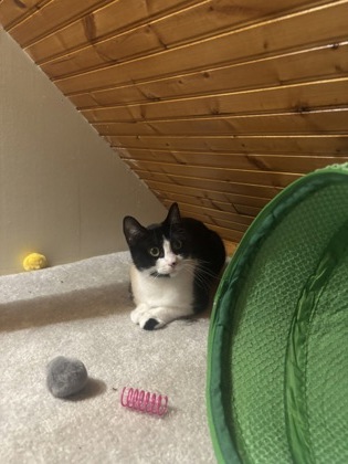 Photo of Nellie