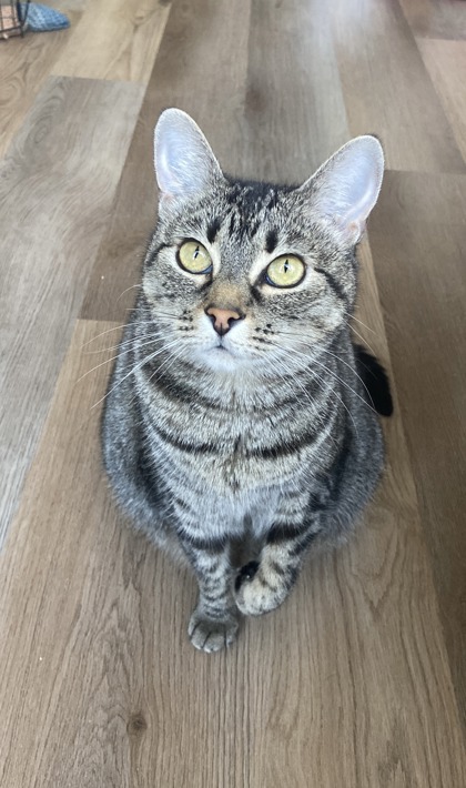 Photo of Tabitha