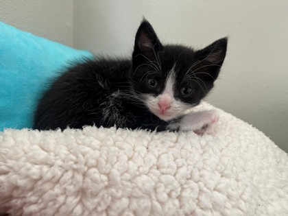 Photo of Winnie