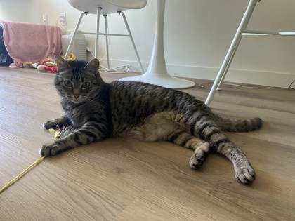 Photo of Tabitha