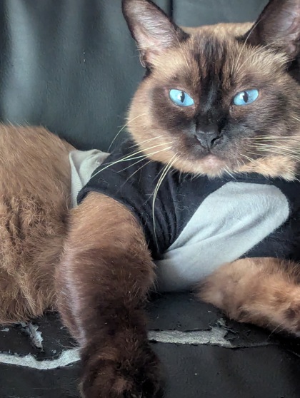 Photo of Olaf