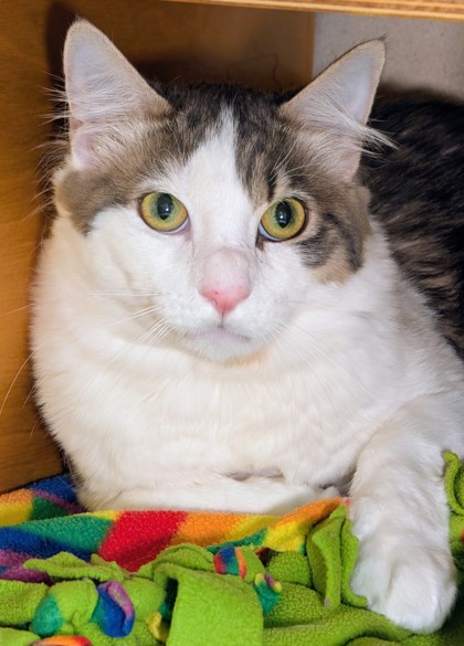 Photo of Finn